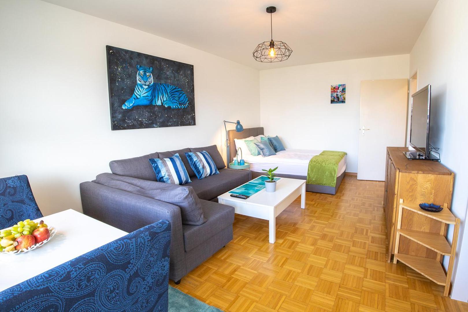 Special Blue Tiger Apartment Basel, Messe Kleinbasel 10-Star Luaran gambar